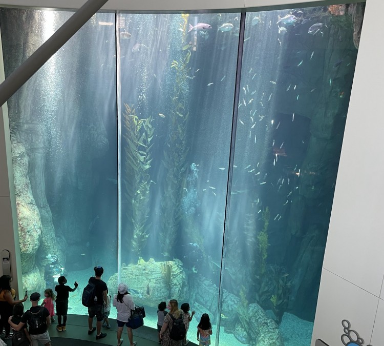Aquarium of the Pacific (Long&nbspBeach,&nbspCA)
